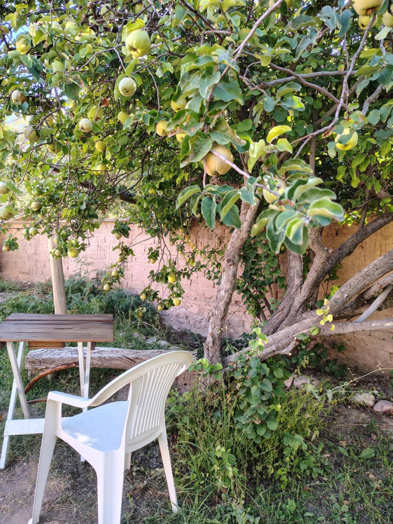 Inti Sayana Hostel Humahuaca Kültér fotó