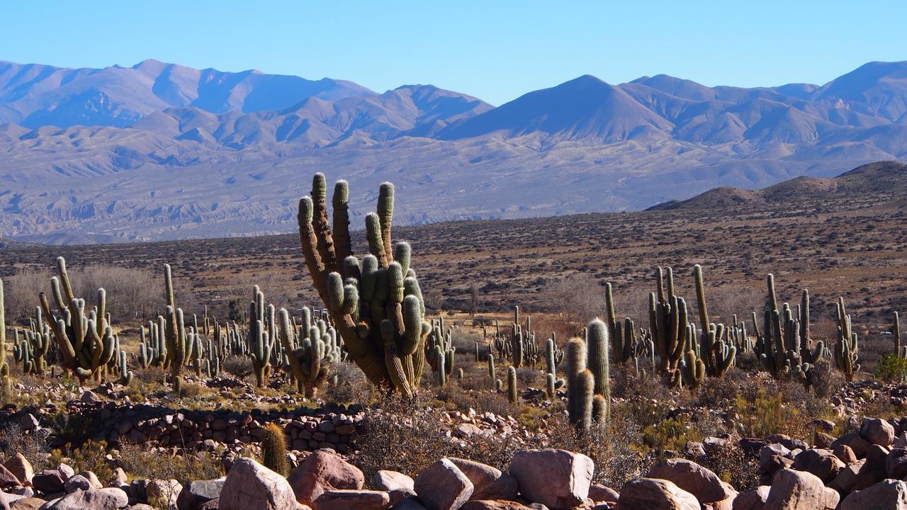 Inti Sayana Hostel Humahuaca Kültér fotó
